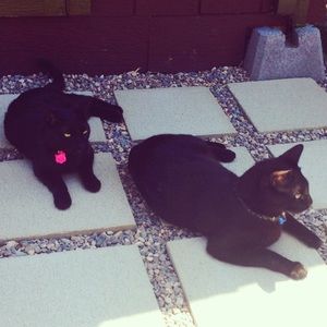 Meet your Posher, Erika